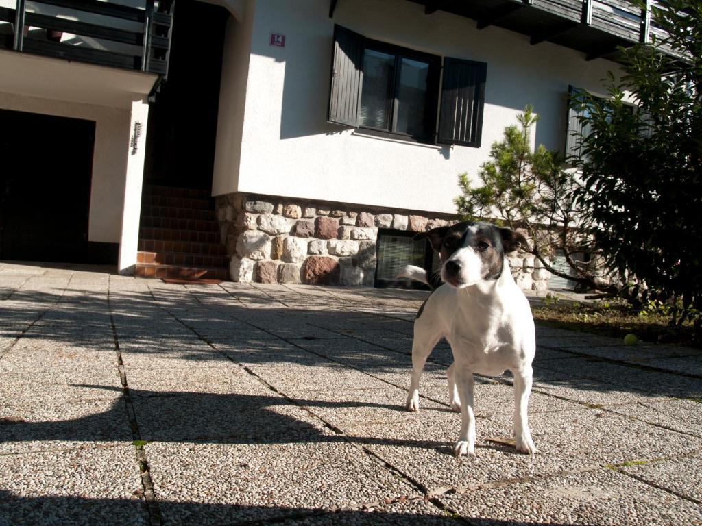 Apartments Otasevic Kranjska Gora Exterior photo